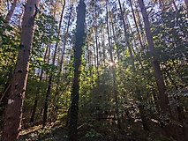 Rund um die Lienewitzseen