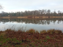 Ufer- und Waldweg von Petzow nach Ferch