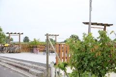 Wachtelberg Werder