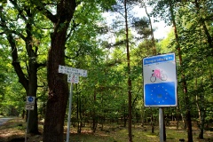 Schöne Waldwiese am Europaradweg R1 bei Kemnitzer Heide
