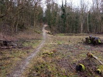 Ferch - Petzow - Glindower Alpen