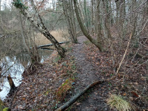 Wandertour: Ferch - Petzow - Glindower Alpen