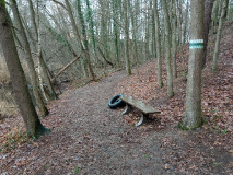 Ferch - Petzow - Glindower Alpen