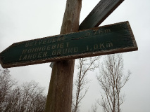 Ferch - Petzow - Glindower Alpen