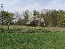 Ausflugstipps für den Landkreis Potsdam-Mittelmark