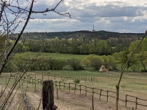 Weinberg Töplitz