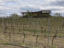 Weinberg Töplitz