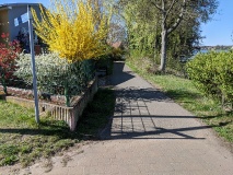 Ziegeleimuseum/Weg am Glindower See nach Petzow_14