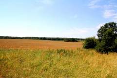 Ausflugstipps für den Landkreis Potsdam-Mittelmark
