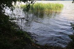 Ausflugstipps für den Landkreis Teltow-Fläming