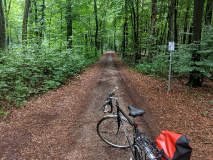 Tetzelkasten und Thesentür