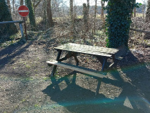 Von Ahrensdorf zum Siethener Siethener See