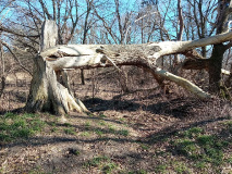 Region Ludwigsfelde, Großbeeren, Blankenfelde-Mahlow, Rangsdorf