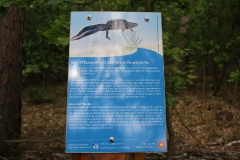 Ausflugstipps für den Landkreis Teltow-Fläming