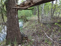 Ausflugstipps für den Landkreis Teltow-Fläming