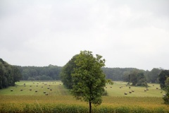 Ausflugstipps für den Landkreis Teltow-Fläming