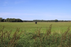 Radtour durch die Genshagener Heide