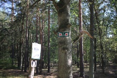 Radtour durch die Genshagener Heide
