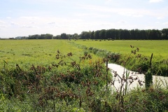 Radtour durch die Genshagener Heide