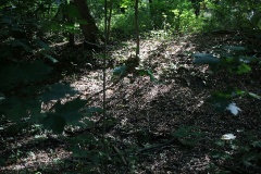 Radtour durch die Genshagener Heide