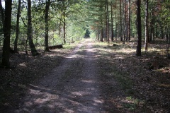 Radtour durch die Genshagener Heide