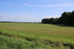 Radtour durch die Genshagener Heide