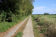 Radtour durch die Genshagener Heide