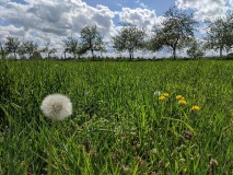 Ausflugstipps für den Landkreis Teltow-Fläming
