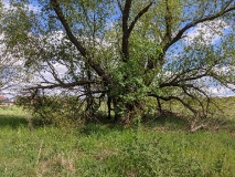 Technisches Denkmal Rieselfelder Großbeeren