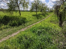 Technisches Denkmal Rieselfelder Großbeeren