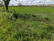 Ausflugstipps für den Landkreis Teltow-Fläming