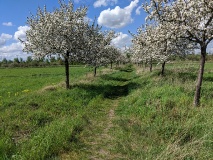 Technisches Denkmal Rieselfelder Großbeeren