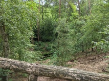 Von Blankenfelde nach Baruth