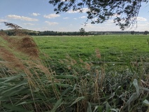 Auf der Baruther Linie durch 