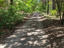 Von Blankenfelde nach Baruth