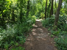 Auf der Baruther Linie durch 