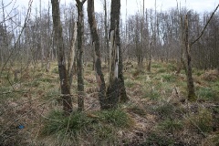 Von Großbeeren zum Jagdschloss Stern (11,5 km)