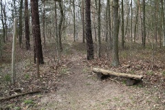 Von Großbeeren zum Jagdschloss Stern
