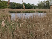 Waldsee bei Löwenbruch, einem Ortsteil der Stadt Ludwigsfelde