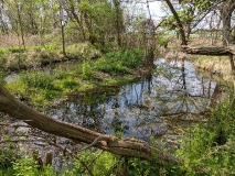 Waldsee bei Löwenbruch, einem Ortsteil der Stadt Ludwigsfelde
