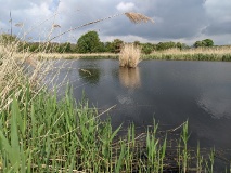 Waldsee bei Löwenbruch, einem Ortsteil der Stadt Ludwigsfelde