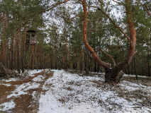 Ein ordentlicher Hauch von Harz - schöne Rundtour durch die Glauer Berge._16