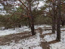Ein ordentlicher Hauch von Harz - schöne Rundtour durch die Glauer Berge._18