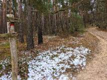 Ein Hauch von Harz: Von Mietgendorf durch die Glauer Berge