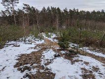 Ein Hauch von Harz: Von Mietgendorf durch die Glauer Berge