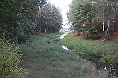 das Naturschutzgebiet oberes Pfefferfließ