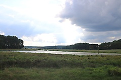 das Naturschutzgebiet oberes Pfefferfließ