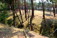 Ausflugstipps für den Landkreis Teltow-Fläming