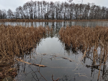 Seechen, Ungeheuerwiesen und Vogelbeobachtungsturm_3