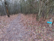 Ausflugstipps für den Landkreis Teltow-Fläming